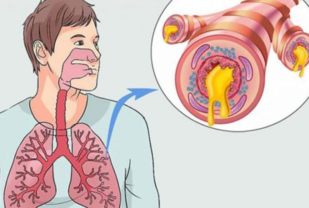 best hospital in jaipur|Gadhwal Heart & General Hospital