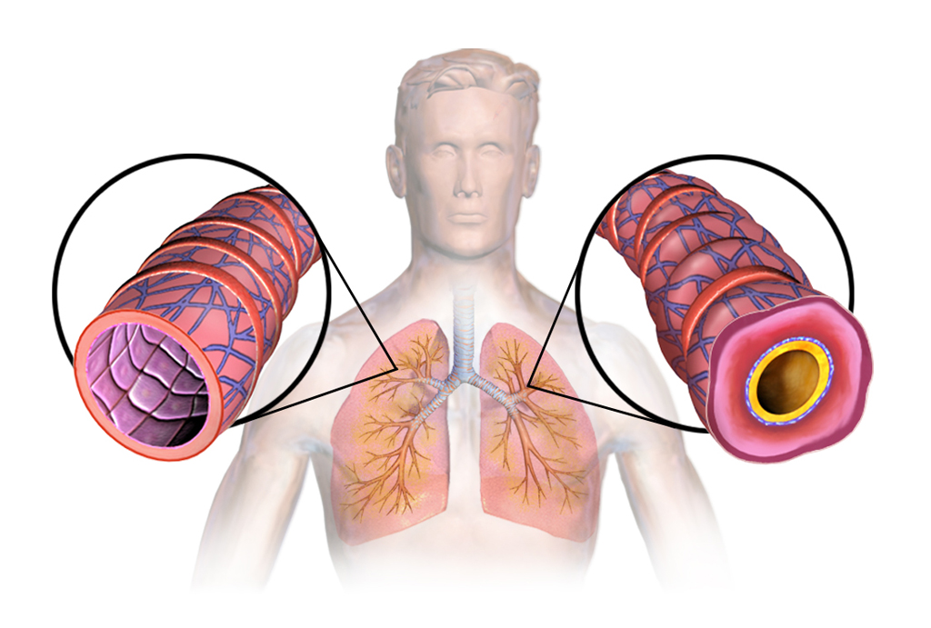 best hospital in jaipur|Gadhwal Heart & General Hospital