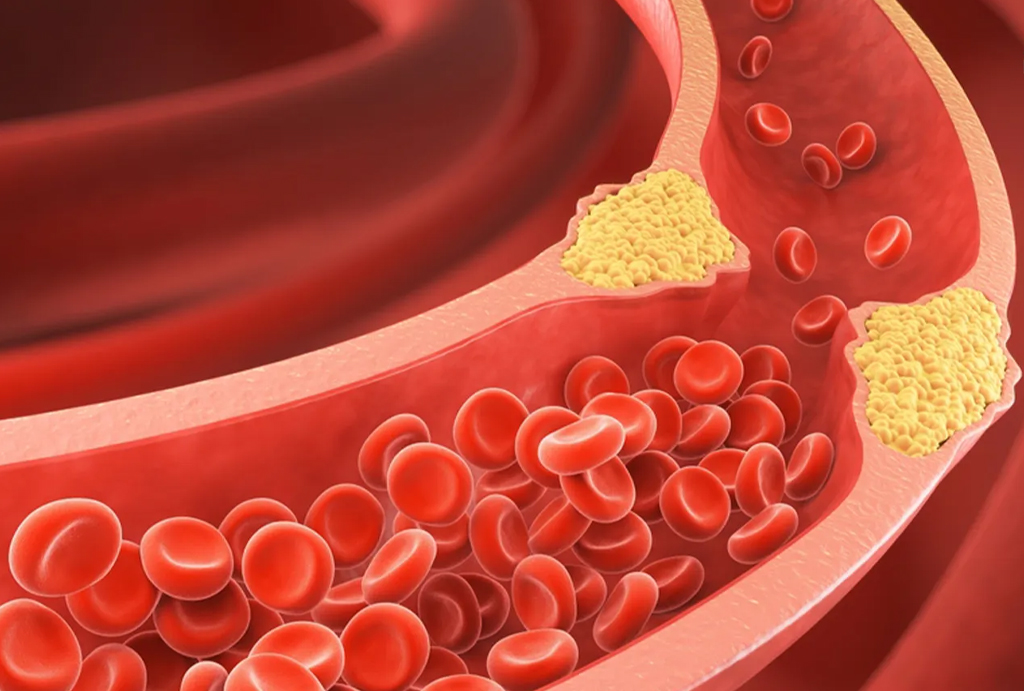 best hospital in jaipur|Gadhwal Heart & General Hospital