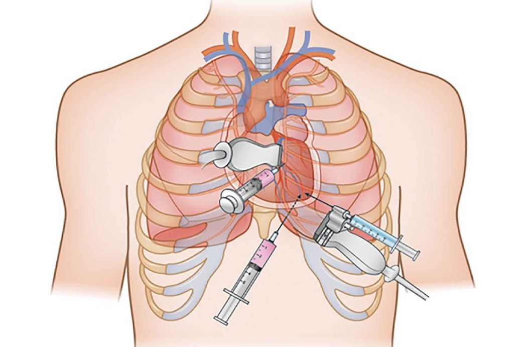 best hospital in jaipur|Gadhwal Heart & General Hospital