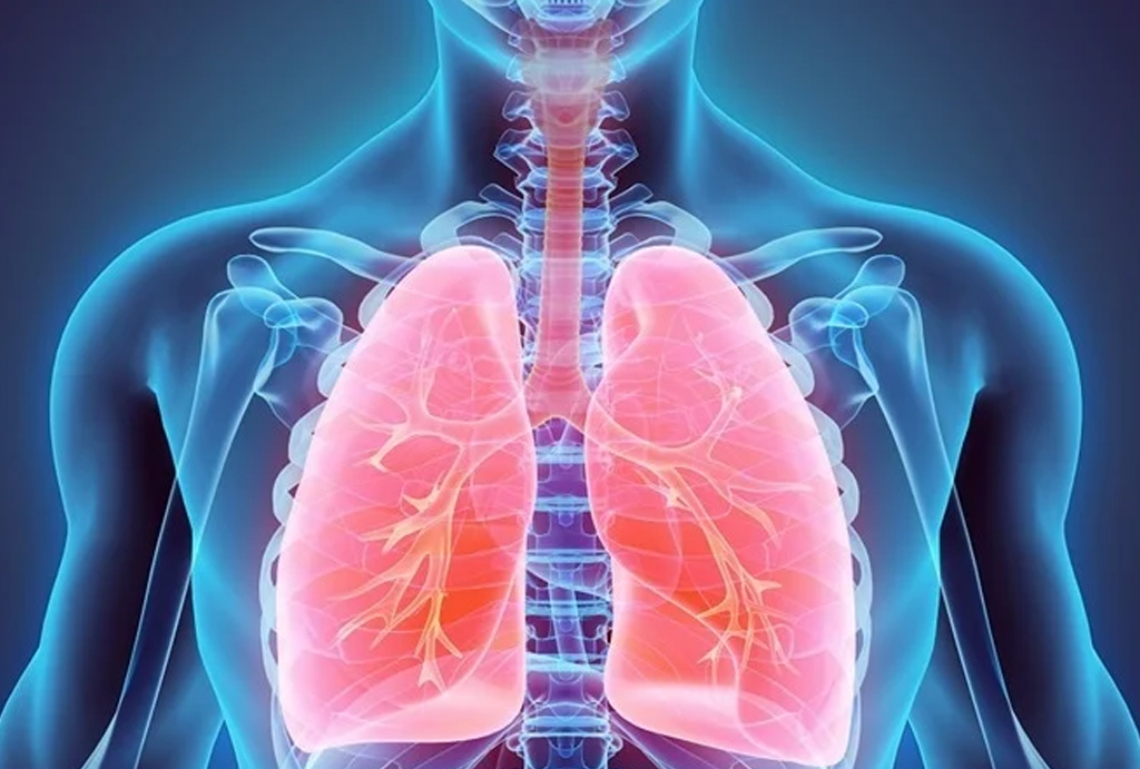 best hospital in jaipur|Gadhwal Heart & General Hospital