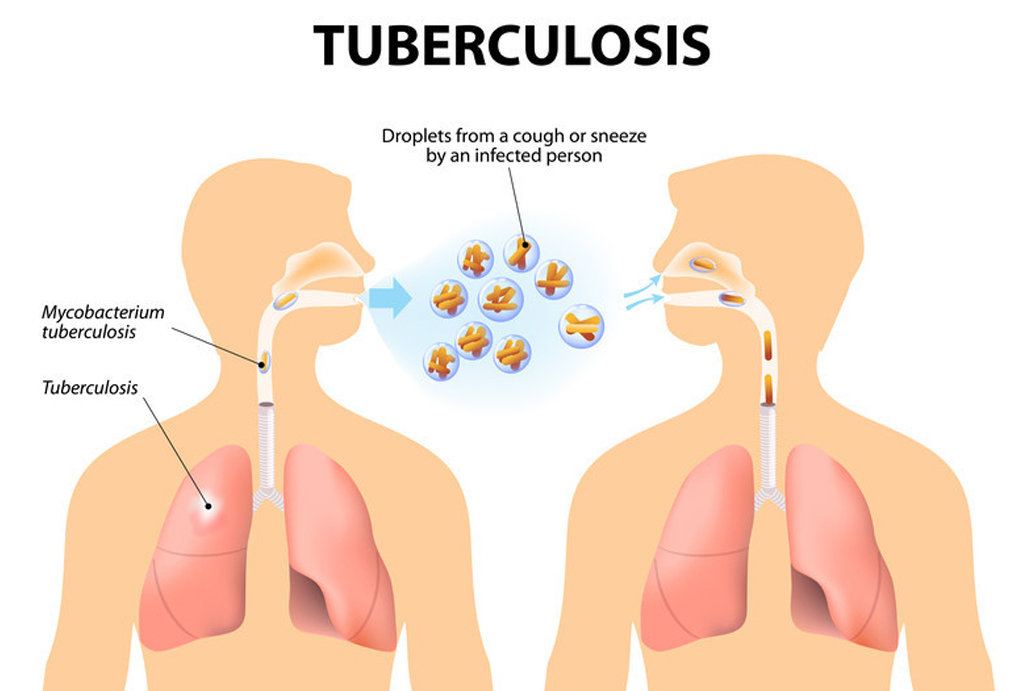 best hospital in jaipur|Gadhwal Heart & General Hospital